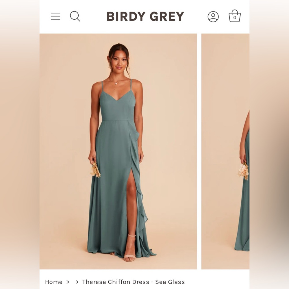 Birdy Grey Theresa NWT Chiffon Sea Glass
